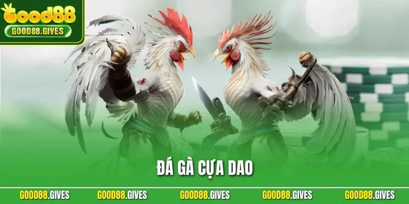 Đá Gà Cựa Dao – Luật Thi Đấu Chi Tiết Tại Nhà Cái GOOD88