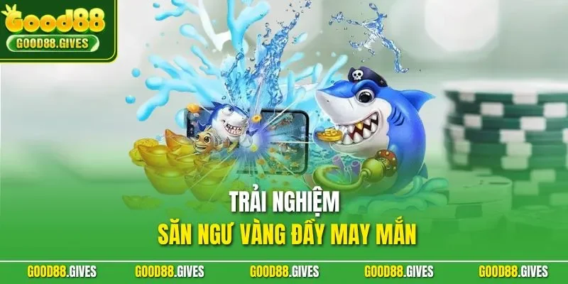Trải nghiệm săn ngư vàng đầy may mắn
